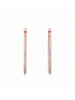 Golden Radiance Classic Hoops